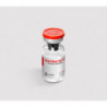 HGH FRAG 176-191® Peptide 5mg per vial
