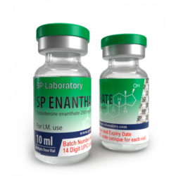 SP ENANTHATE Testosterone Enanthate 250mg/ml 10ml
